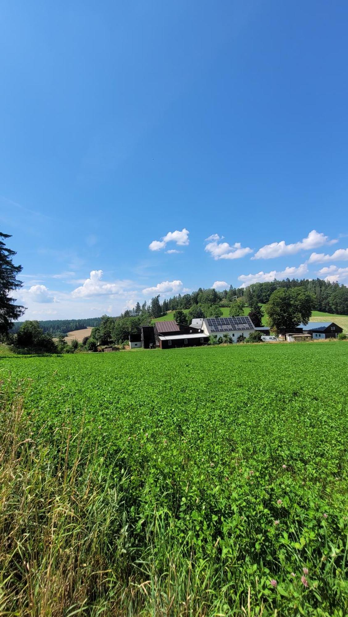Ruhig Gelegene, Top Moderne Ferienwohnung - Hot Tub Und Sauna Gegen Aufpreis Neuhaus an Der Eger Zewnętrze zdjęcie